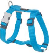 Postroj Plain Classic Turquoise